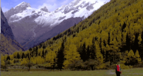 Bonus Episode: Wild Horses, Part 3